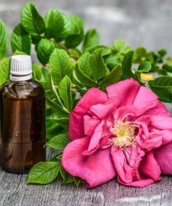 Rose Absolute (Solvent Extracted)