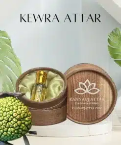 Buy Kewra Attar Online From Kannauj Attar
