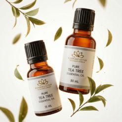 Tea Tree Essential Oil by Kannauj Attar