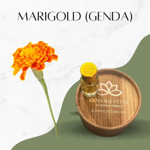 Buy Marigold Attar Online From Kannauj Attar