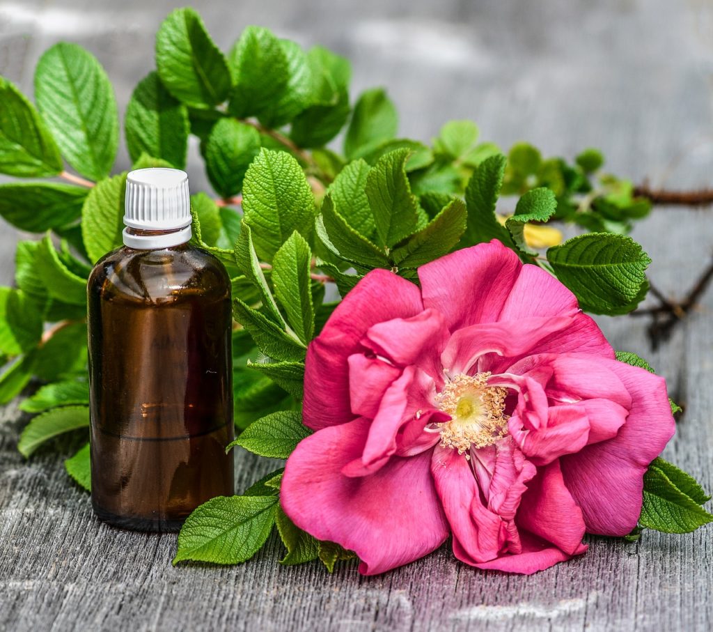 Types of Rose Oils – Sources of Rose to Obtain Essential Oil & Absolutes -  Kannauj Attar