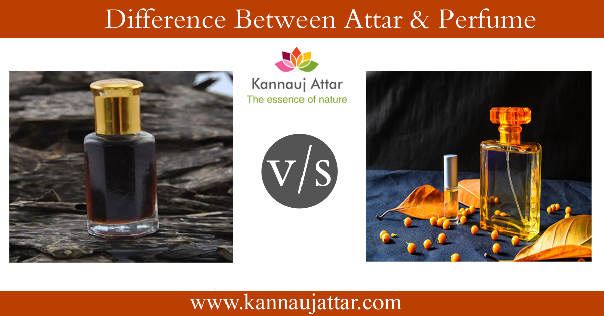 Attar vs Perfume' - Key Differences You Should Know
