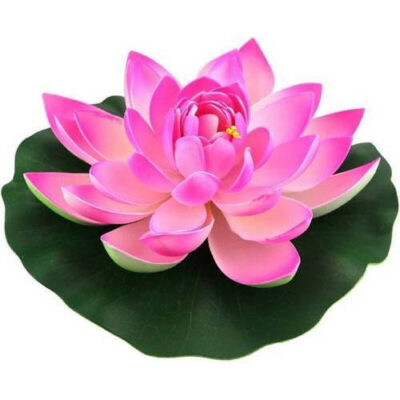 Buy Natural Pink Lotus Attar Online