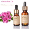 Buy Pure Organic Geranium Essential Oil