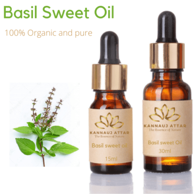 Pure Organic Basil Sweet Essential Oil