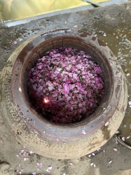 Kannauj Attar