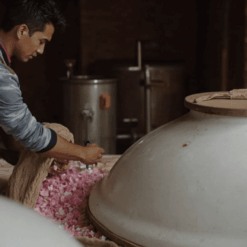 Oldest Kannauj Attar Manufacturer Company